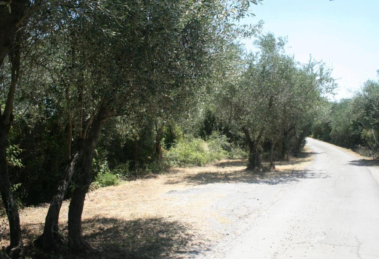Poderi Lenzi Villa Лука Екстериор снимка